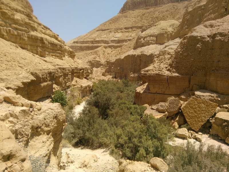 Национальные парки и заповедники израиля – лучшие, карта, матмон – израиль в фотографиях