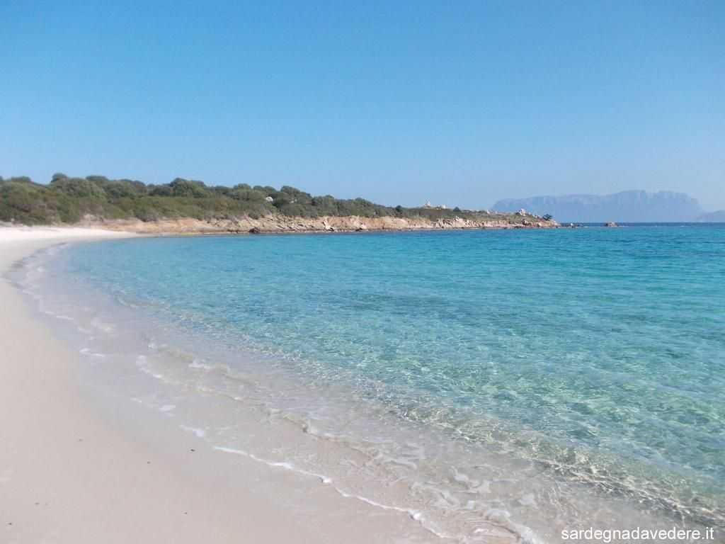 Ольбия на острове сардиния в италии: пляжи, отели, кухня, как добраться, что посмотреть