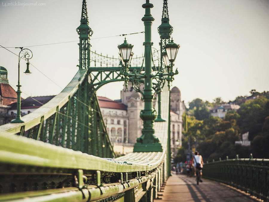 Чем знаменит цепной мост в будапеште
