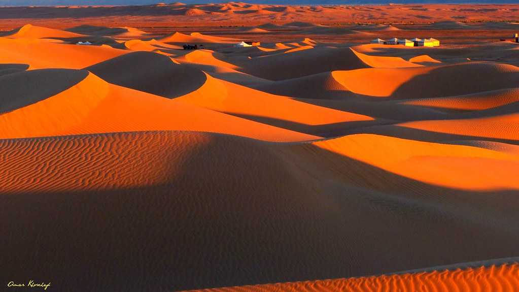 Пустыня сахара🌟подробно о климате, рельефе, животных, растениях