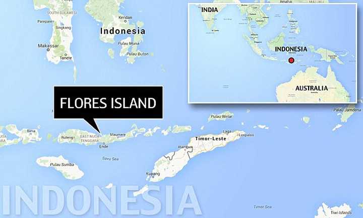 Остров флорес индонезия как добраться?
