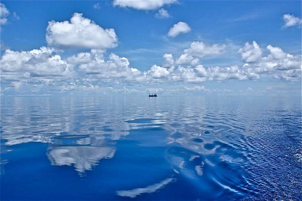 Яванское море – карта климат флора и фауна яванского моря - lowis