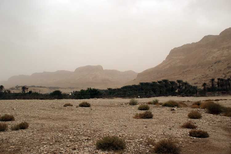 Иудейская пустыня - judaean desert - abcdef.wiki