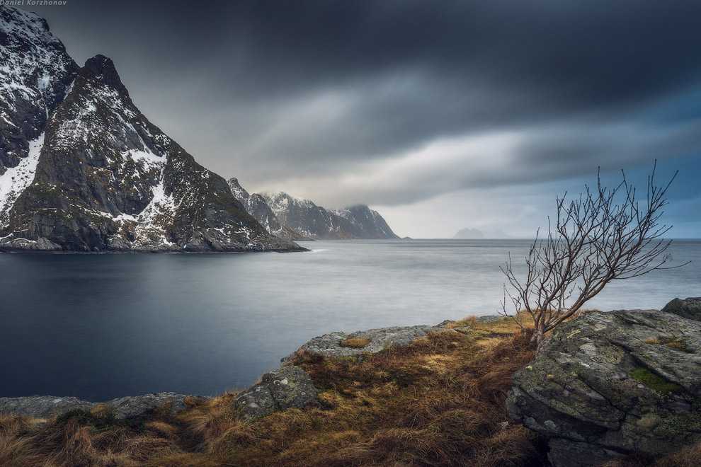Норвежское море — справочные данные