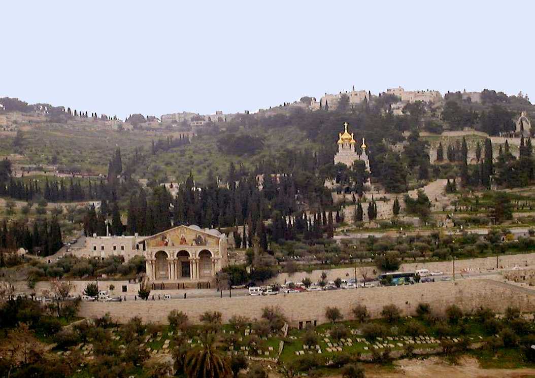 Масличная гора в иерусалиме