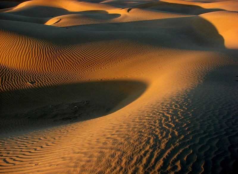 Пустыни. мир дикой природы. national geographic. смотреть онлайн
