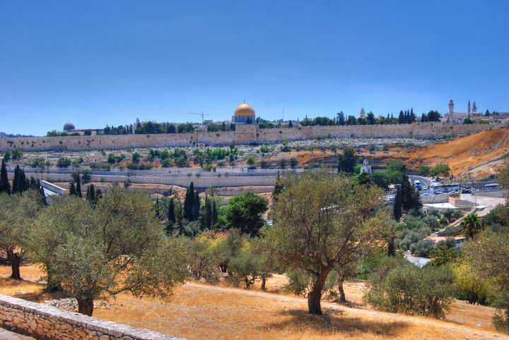 Елеонская гора в иерусалиме