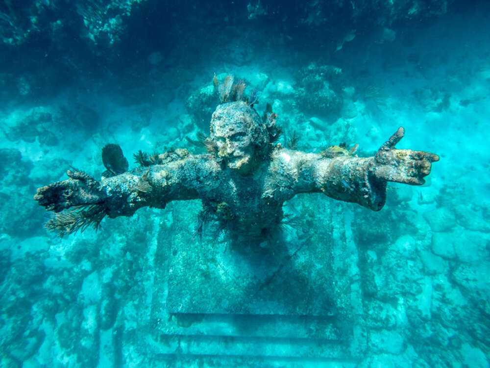Музеи статуй под водой: создание, описание, интересные факты (фото, видео)