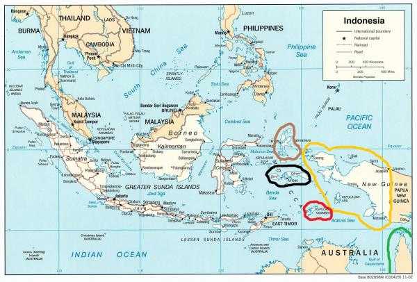 Остров сулавеси на карте мира, как идеальное место для дайвинга