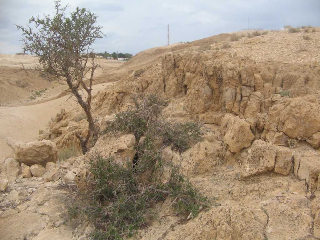 Cамые красивые пустыни на земле – статьи – арриво