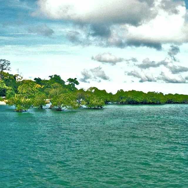Туризм на андаманских и никобарских островах - tourism in the andaman and nicobar islands - abcdef.wiki