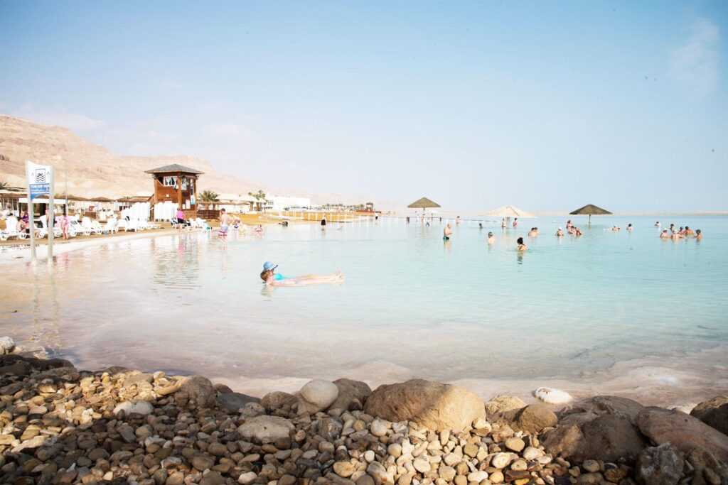 Курорты израиля на мертвом море: эйн-бокек, эйн-геди, неве-зоар и другие – где лучше отдыхать