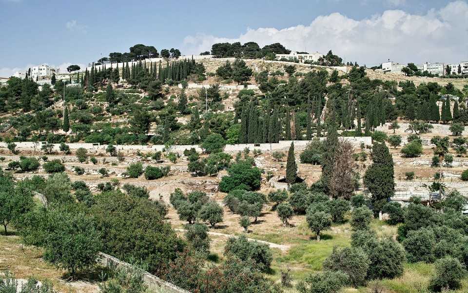 Гора голгофа в иерусалиме сегодня: главные сведения с фото