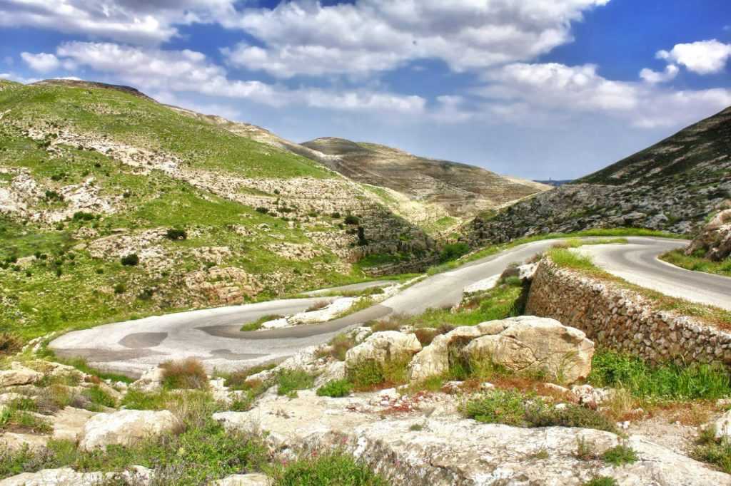 Заповедник эйн-геди в израиле – оазис среди пустыни