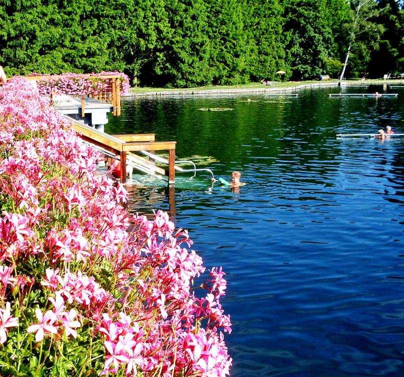 Фото озера Хевиз в Венгрии. Большая галерея качественных и красивых фотографий озера Хевиз, которые Вы можете смотреть на нашем сайте...