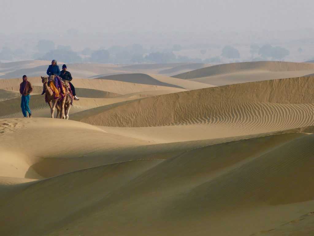 Пустыня тар на севере индии: мой друг, журавль | древний восток