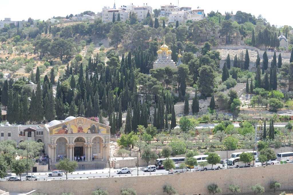 Гора сион в иерусалиме: история, месторасположение, ее святыни и значение в религии