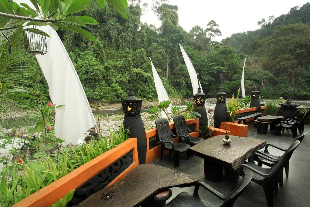 Наследие тропического леса суматры - отдых в индонезии