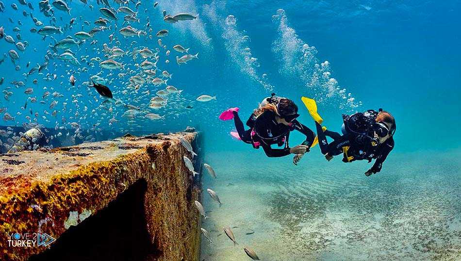 Коралловые рифы индии - википедия
