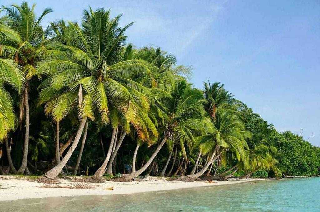 Андаманские и никобарские острова - andaman and nicobar islands - abcdef.wiki