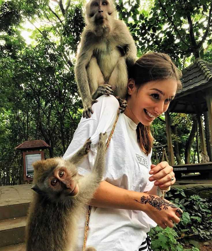 Лес обезьян на бали (monkey forest) — мистическое место и милые обезьянки