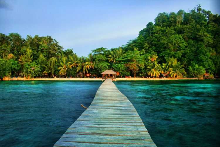Остров сулавеси. описание, достопримечательности, популярные отели, пляжи.