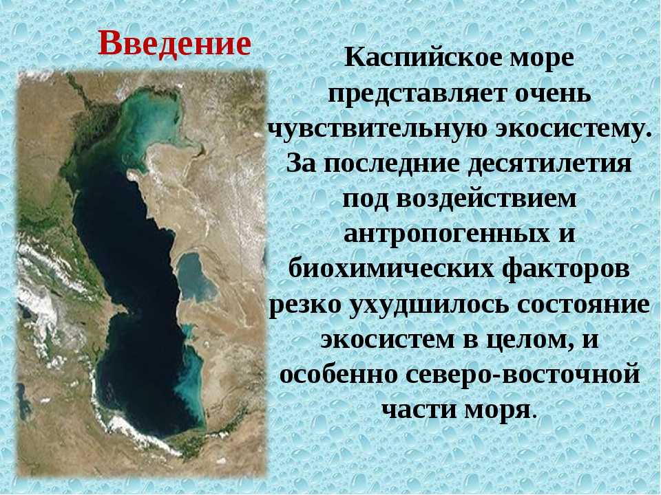 Каспийское озеро расположено. Рельеф дна Каспийского моря. Каспийское море глубины рельеф дна. Рельеф дна Каспийского моря без воды. Каспийское море море.
