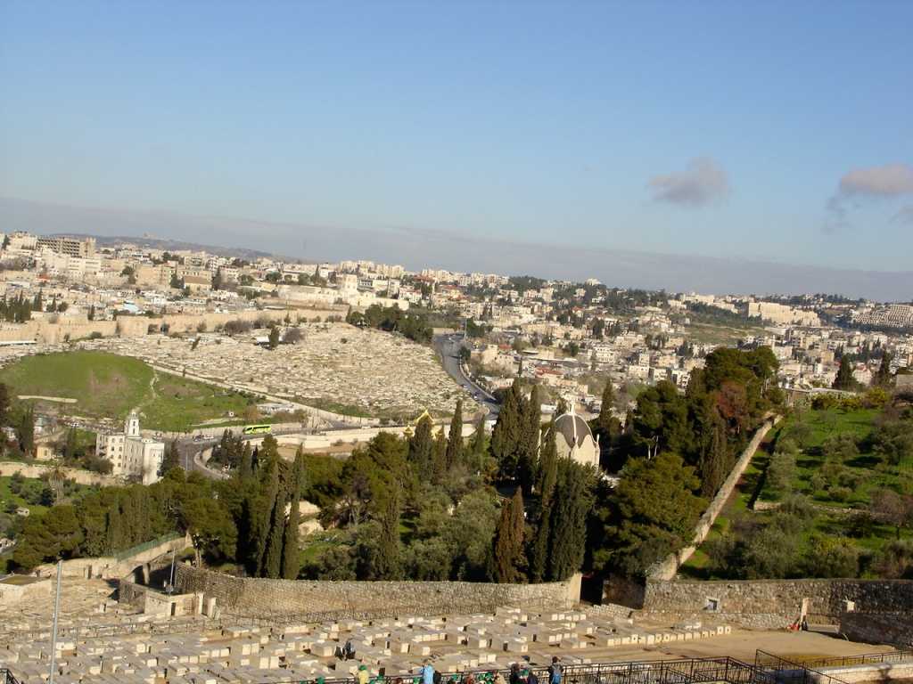 Уникальность елеонской горы в иерусалиме