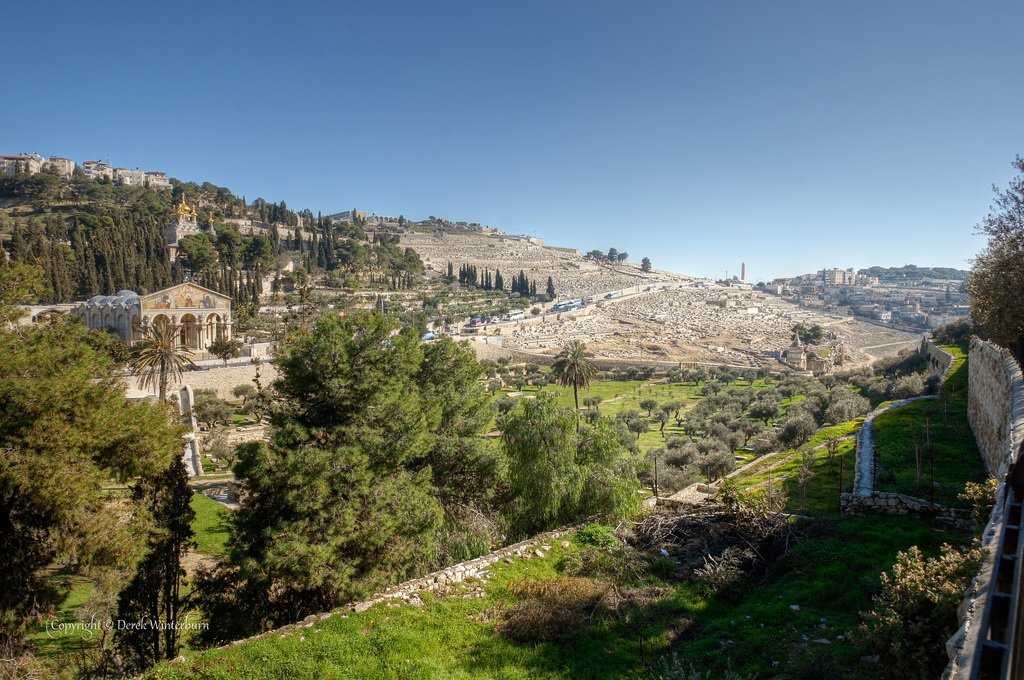 Масличная гора в иерусалиме – святое место для всех верующих