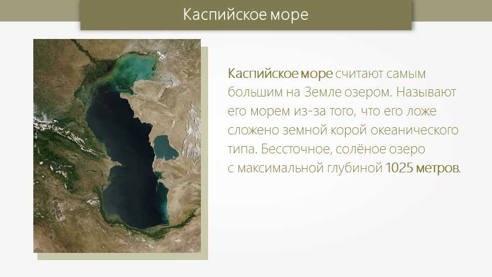 Каспийское море - глубина, соленость, какие реки впадают