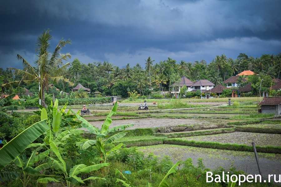 Подборка видео про Остров Бали (Индонезия) от популярных программ и блогеров. Остров Бали на сайте wikiway.com