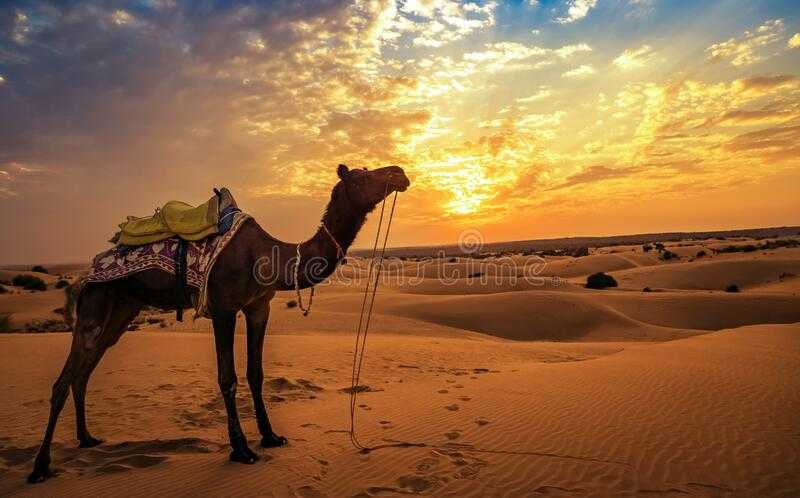 В дебрях индии пустыня тар. священные пески