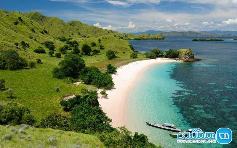 Остров комодо в индонезии, достопримечательности, фото и отзывы