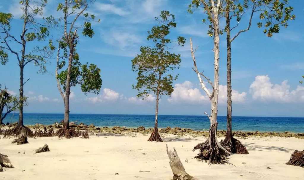 Туризм на андаманских и никобарских островах - tourism in the andaman and nicobar islands - abcdef.wiki