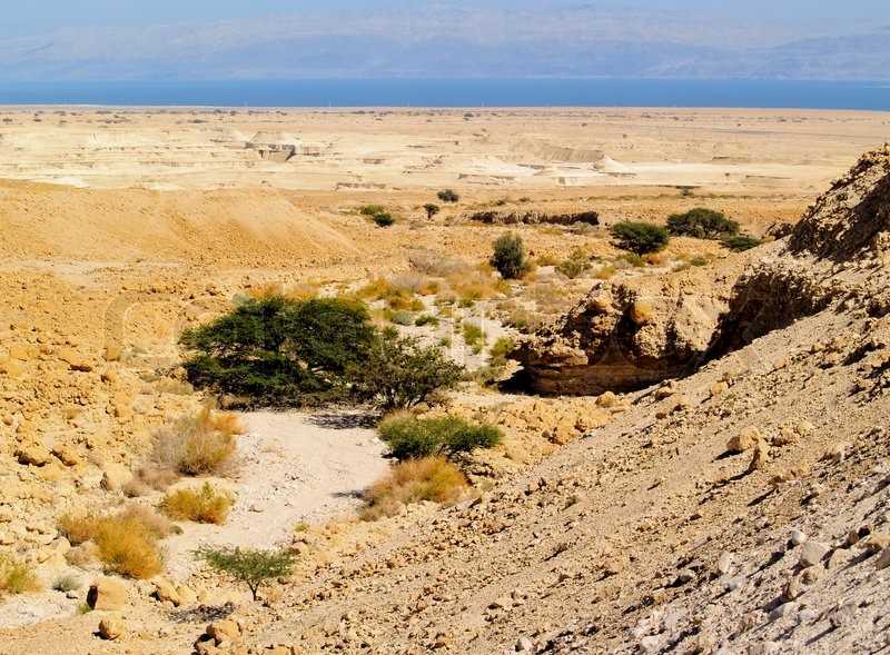 Cамые красивые пустыни на земле – статьи – арриво