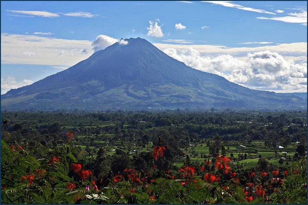 Вулкан бромо в индонезии