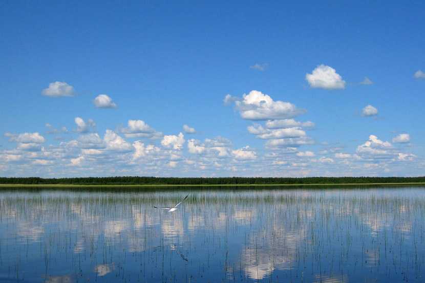 Мёртвое озеро на алтае (чейбеккёль, чойбек-коль)