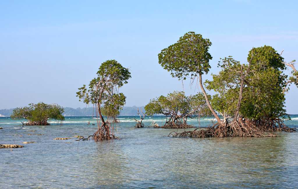 Андаманские и никобарские острова - andaman and nicobar islands