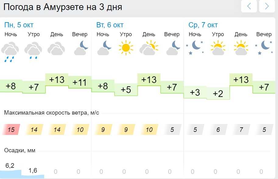 Прогноз погоды токмак. Гисметео Хабаровск. Погода на 10 дней. Погода на год. Погода на десять дней.