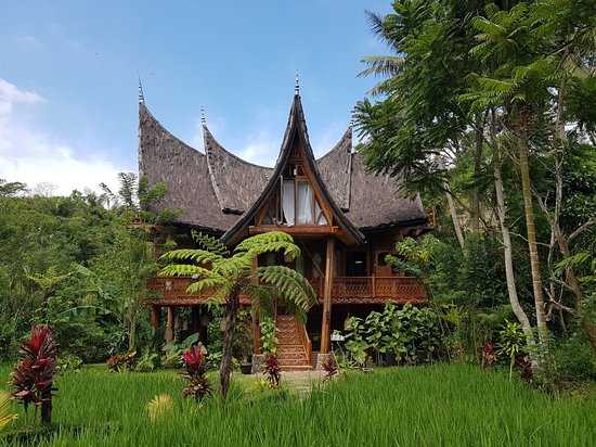 Поездка в дуриановый сад в индонезии (букит лаванг, суматра)