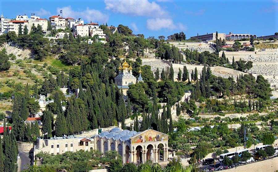 Елеонская гора. гефсимания. иерусалим. паломничество во святую землю. святые места палестины