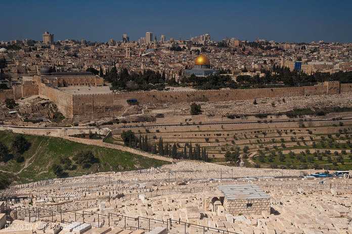 Масличная гора в иерусалиме — история, описание, фото, координаты на карте, адрес, отзывы