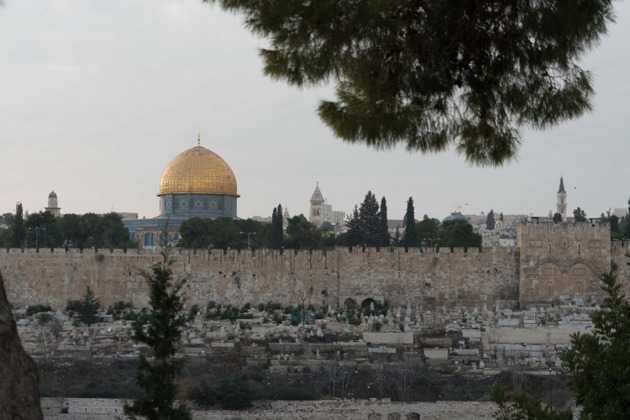 Елеонская гора в иерусалиме: подробные сведения с фото
