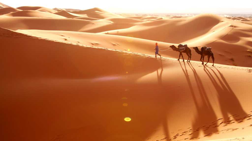 Пустыни. мир дикой природы. national geographic. смотреть онлайн