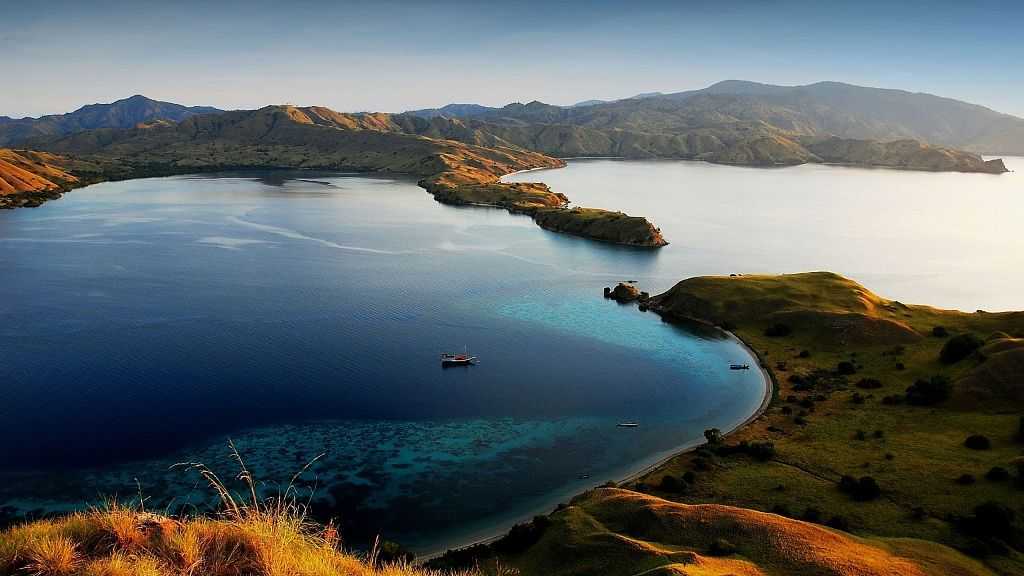 Остров комодо в индонезии, достопримечательности, фото и отзывы