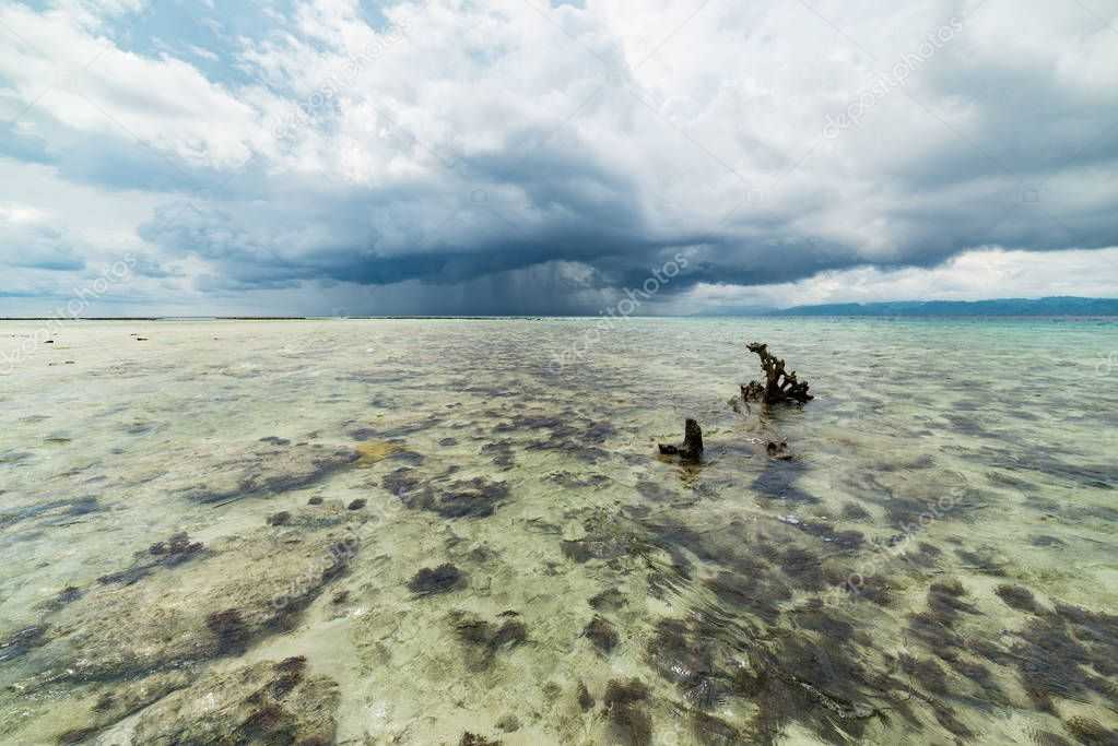 Сулавеси — межостровное море в западной части Тихого океана. Расположено между островами Сулавеси, Калимантан, Минданао, Сангихе и архипелагом Сулу...