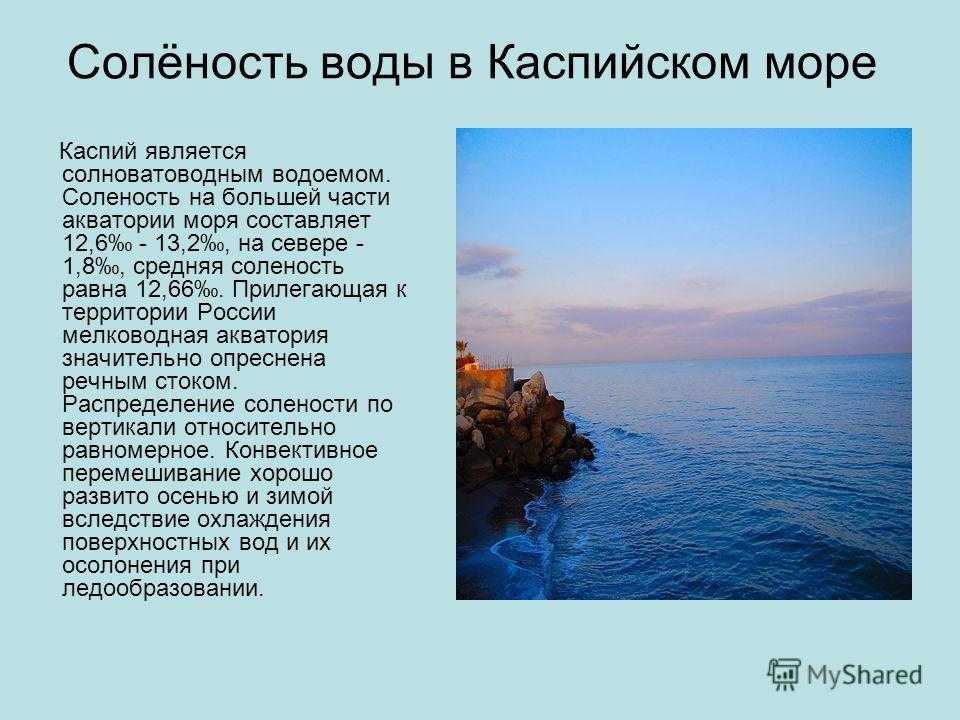 Каспийское море: описание, глубина, ширина, интересные факты - gkd.ru