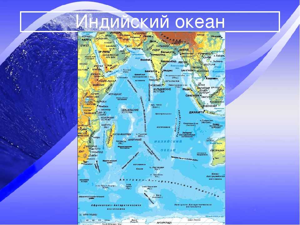 Моря тихого океана - названия, описание и карта — природа мира