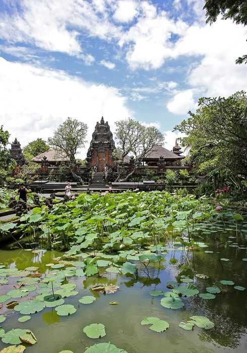 Висячие сады убуд бали (индонезия) | туристический портал